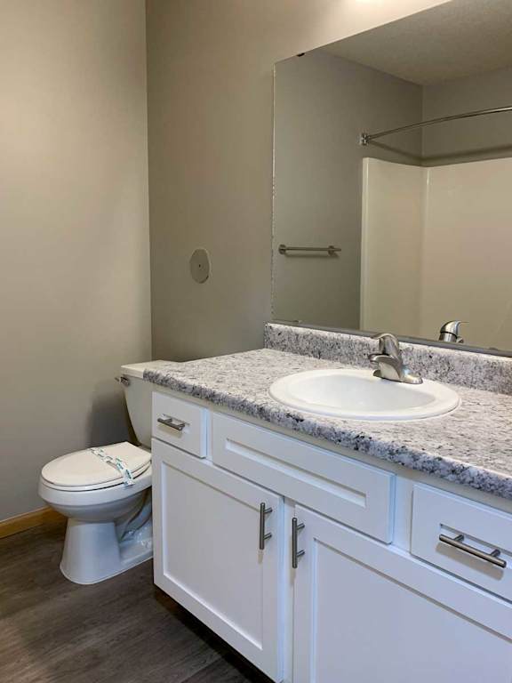 a bathroom with a wide vanity sink with white cabinets and a mirror