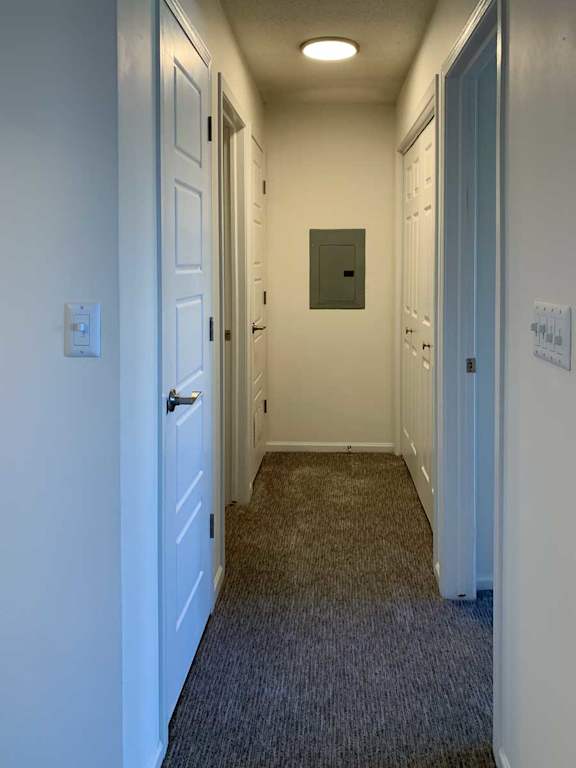 a hallway with carpeted flooring and several closets on either side