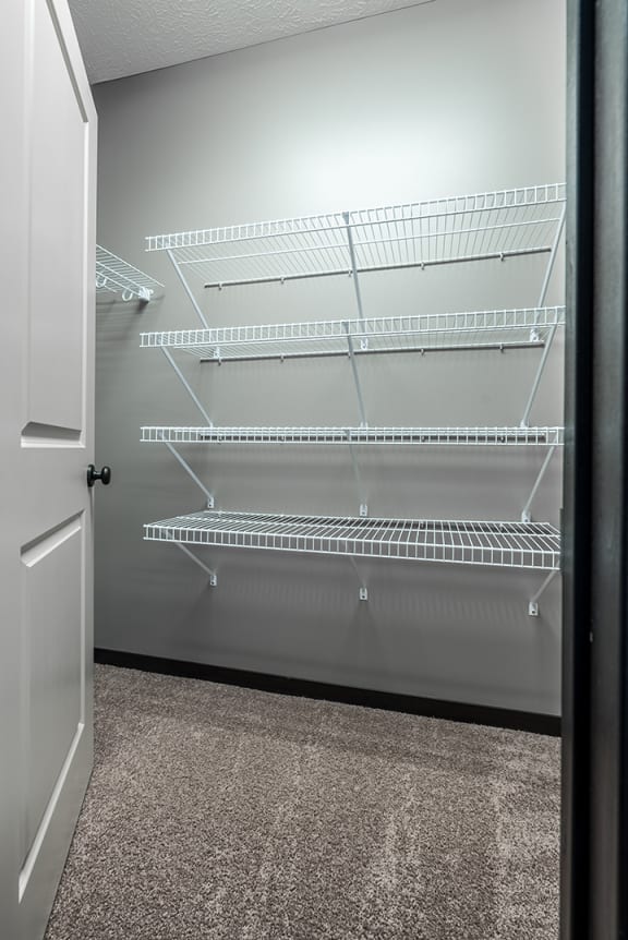 Empty walk-in closet with shelves and carpeted floor.