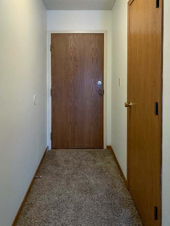 a hallway with a brown door and a carpeted floor