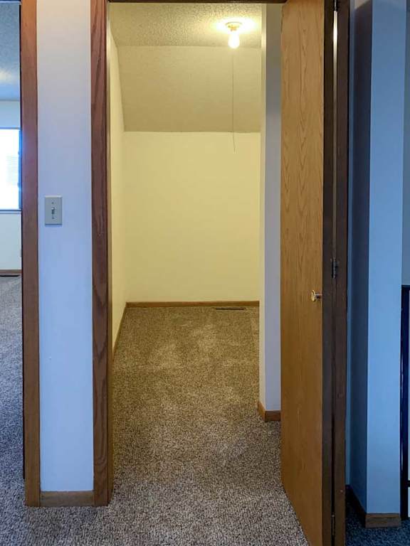 a walk-in closet with over head lighting and a brown door