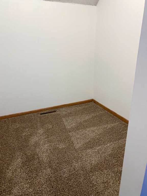 a walk-in storage closet in the loft area with carpet flooring