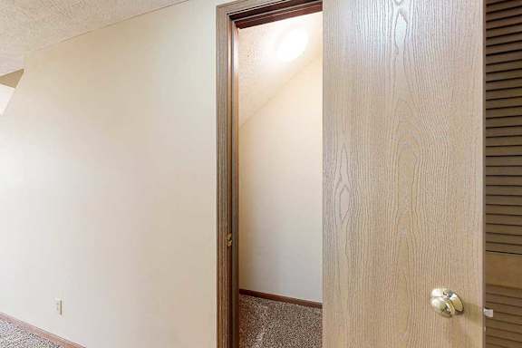 A storage closet under the staircase in the front entry hallway.