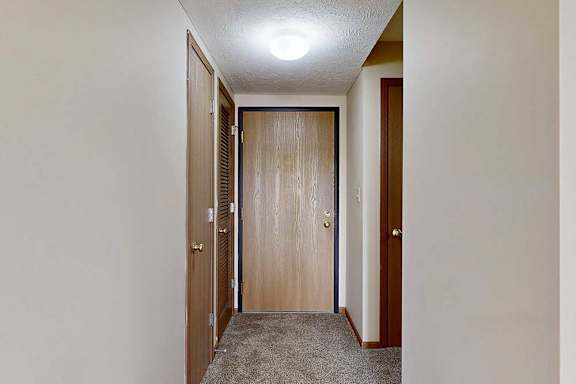 A front door with closets on either side.