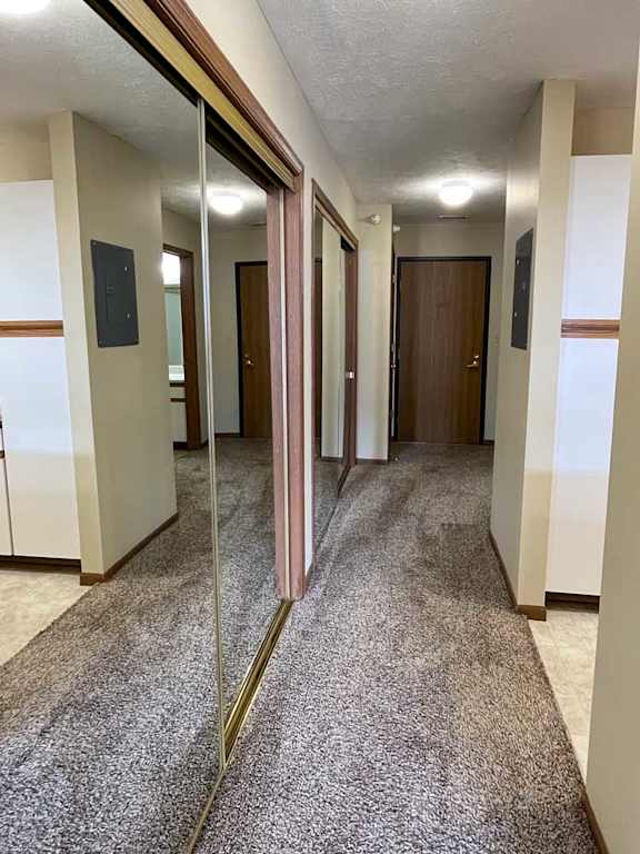 a hallway with a carpeted floor and multiple closets with mirrored doors, and a entry doorway