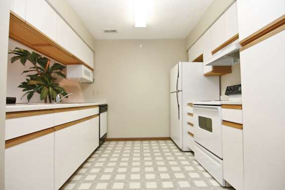 A kitchen with white appliances and a plant on the counter.