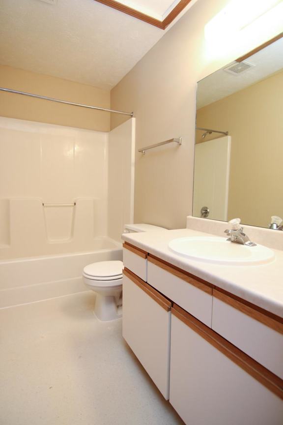 A bathroom with a toilet, sink, and mirror.