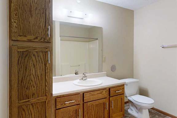 A bathroom with wooden cabinetry, a vanity sink with a large mirror, tall storage cabinet, and overhead lighting.