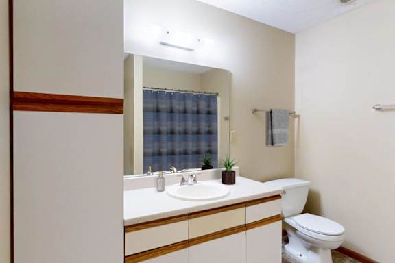 A bathroom with a white toilet and a sink with a mirror above it.