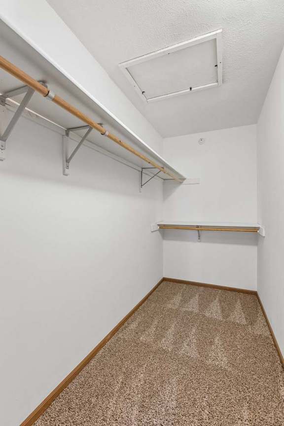 Walk-in apartment closet with carpeted flooring, wraparound hanging rods, upper shelving, and an attic access panel for additional storage.