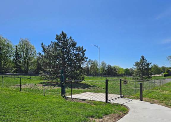 A dog park with a fence, a tree, and a path.