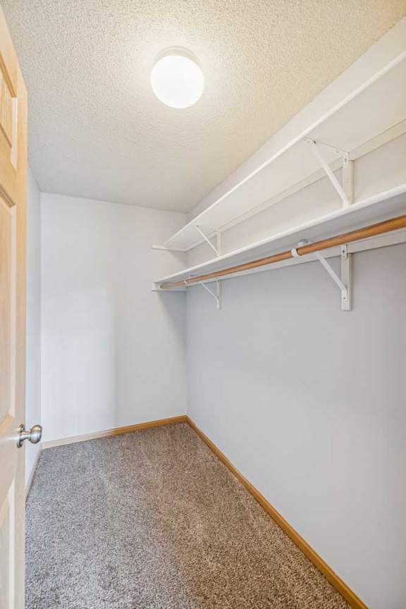 A white wall with a brown carpet and a white ceiling with a light on.
