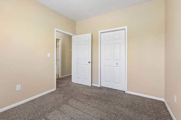 A room with two white doors and carpeted floor.