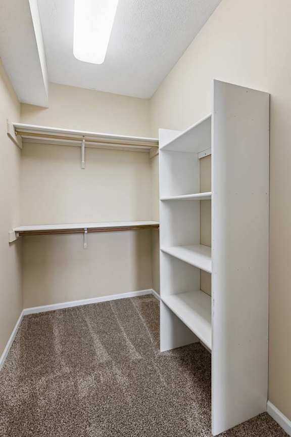 A white shelving unit in a room with carpeted floor.