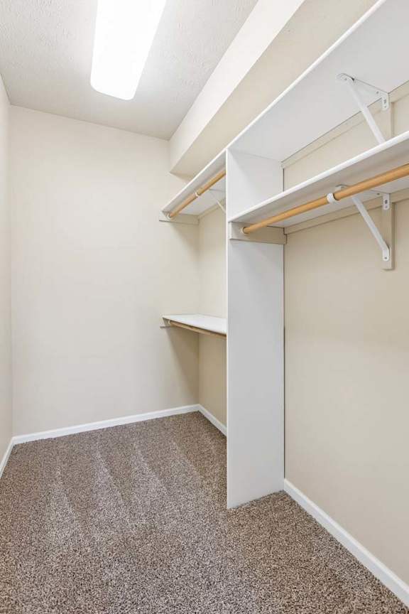 Walk-in apartment closet with carpet, overhead light, built-in shelves, and hanging rods.