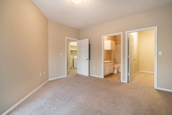 A carpeted room with doorways leading to the hallway, bathroom, and closet