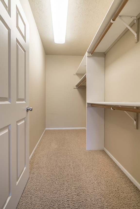 Large walk-in closet with built in shelving