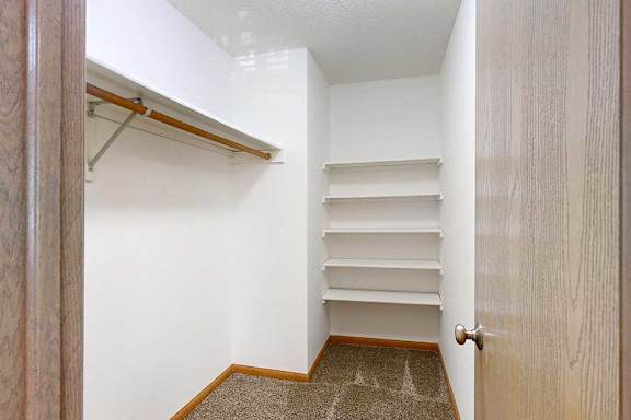 Walk-in closet with carpeted floor, built-in shelving, and hanging rod for organized storage.