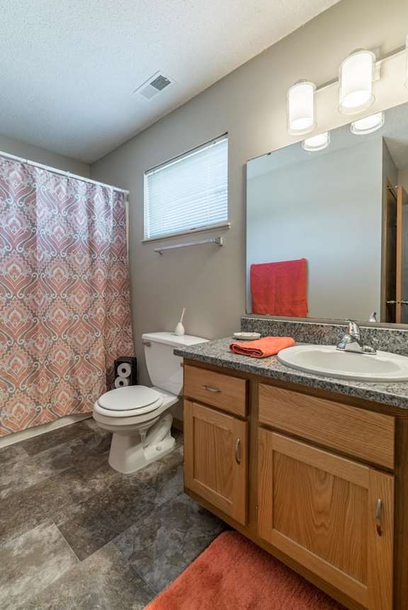 A bathroom with a toilet, sink, and shower curtain.