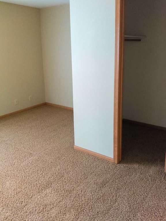 a bedroom with a carpeted floor and a walk-in closet