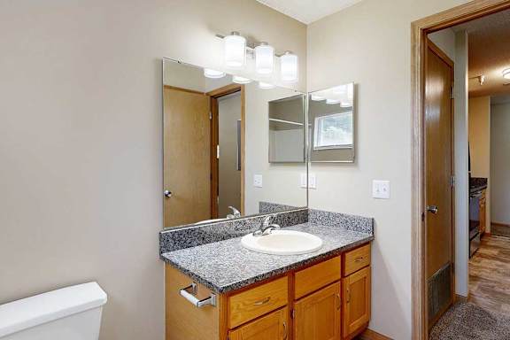 Bathroom vanity with extended countertop, wood cabinetry, wall mirror, and bright overhead lighting.