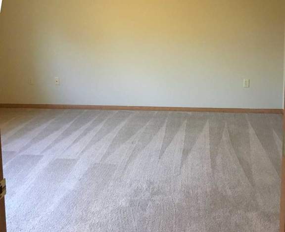 a bedroom with a carpeted floor