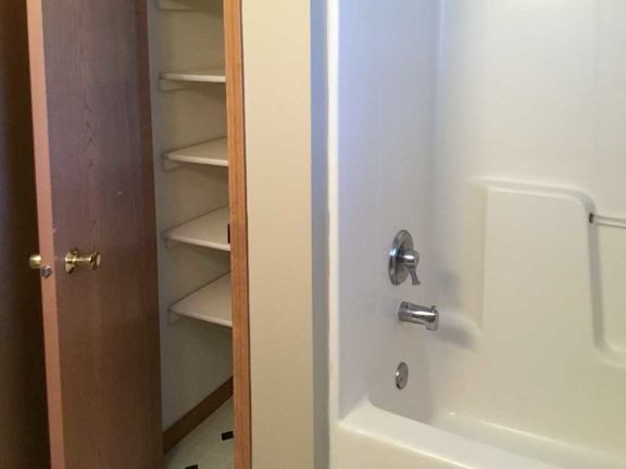 a bathroom with a linen closet and a tub shower