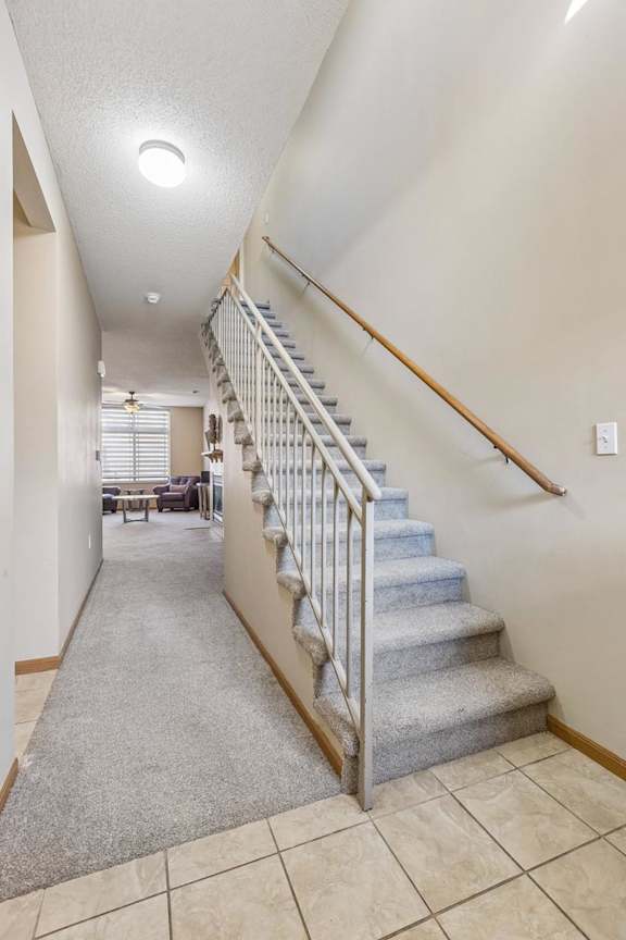 Apartment entry hallway with carpeted staircase, neutral finishes, and open layout leading to the main living area.