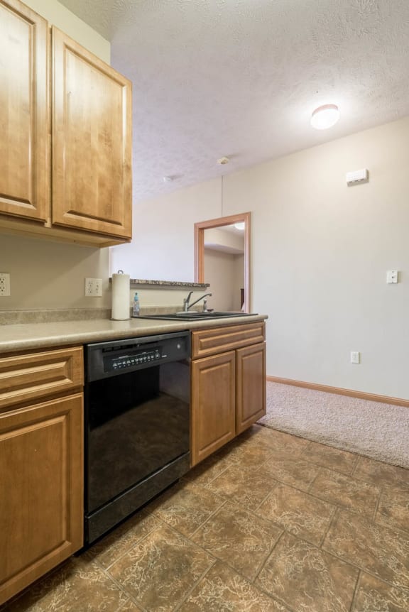 a kitchen with a dishwasher and a sink