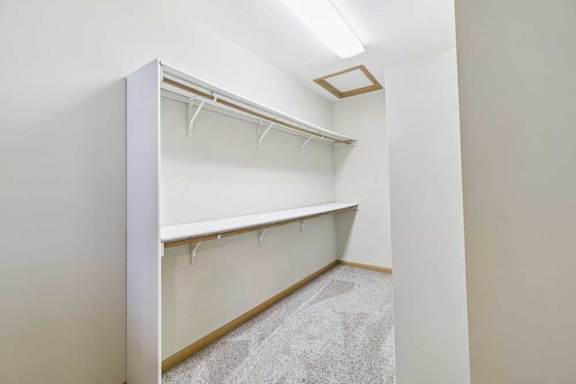 Walk-in closet with built-in shelving, double hanging rods, and carpeted flooring for organized storage.