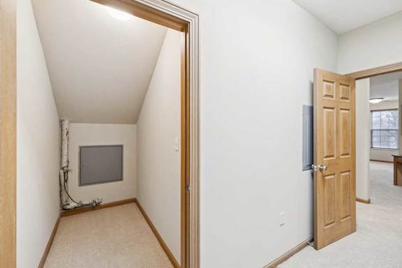 Utility/storage room with mechanical access panel and additional interior storage space.