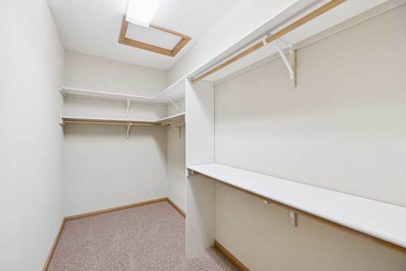 Walk-in closet with carpet flooring, built-in shelving, hanging rods, and overhead lighting for organized storage.