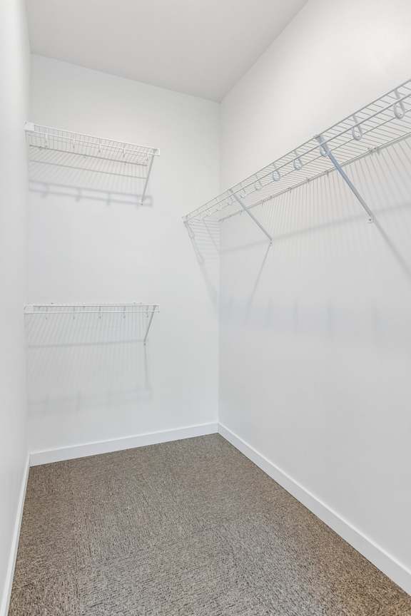 Spacious apartment walk-in closet with gray carpet, white walls, and wraparound wire shelving for storage.
