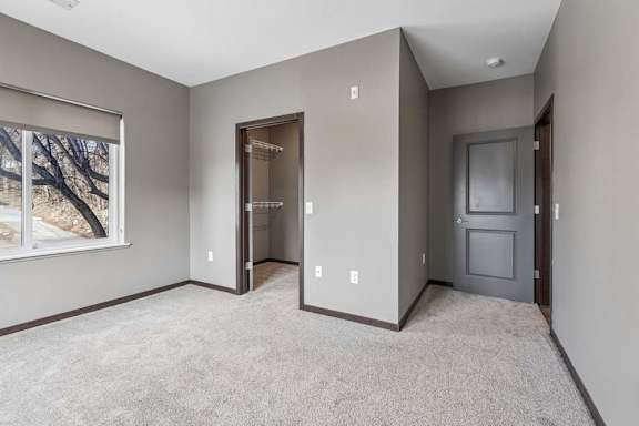 Spacious apartment bedroom with soft carpeting, a large window, walk-in closet access, and gray walls.