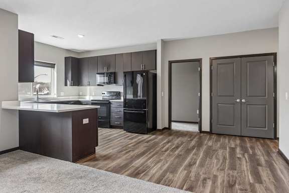 Open-concept apartment with a modern kitchen, dark wood cabinetry, wood-style flooring, and a spacious living area.