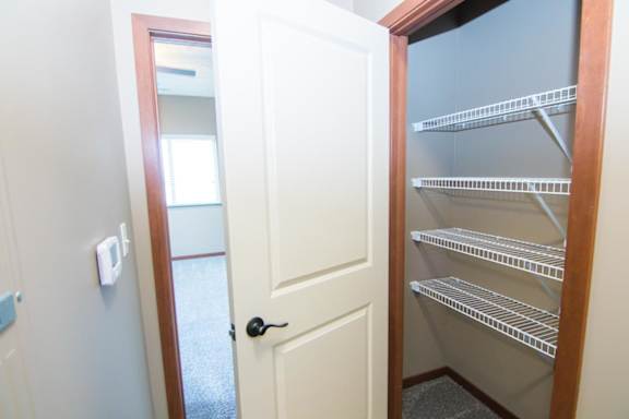 Empty linen closet with a white door and shelves.