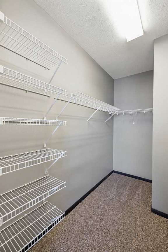 Walk-in closet with extensive white wire shelving along multiple walls and carpeted floor.