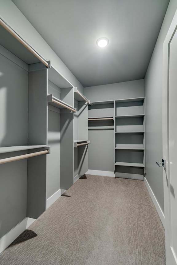 A room with grey walls and a carpeted floor with a white door on the right.