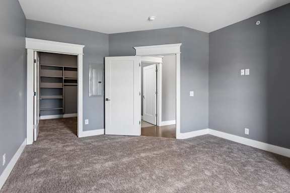 Gray-walled apartment bedroom pairs plush carpeting with crisp white trim and an open walk-in closet featuring built-in shelving.