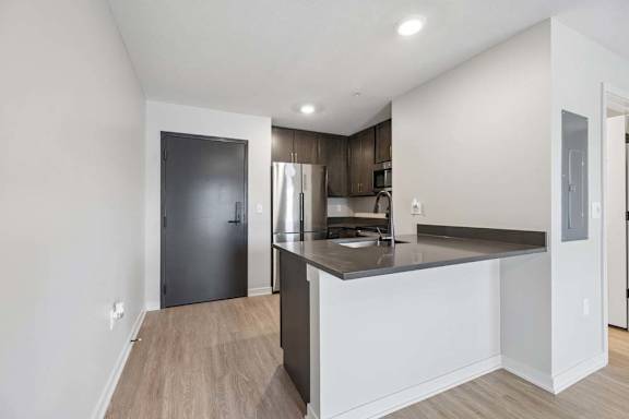Open-concept apartment kitchen with dark cabinetry, a peninsula breakfast bar, stainless steel appliances, and wood-style flooring extending into the living area.