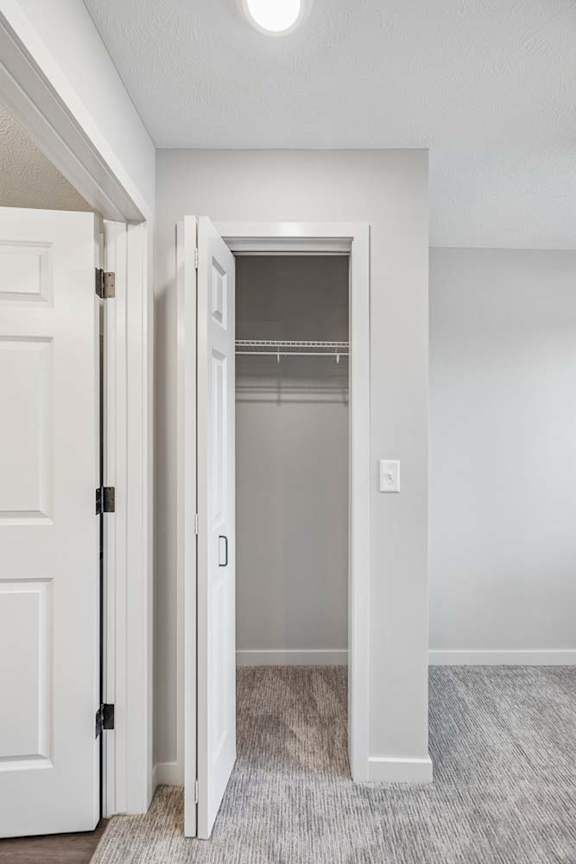 Apartment hallway with linen closet, built-in shelving, and neutral carpeting throughout.