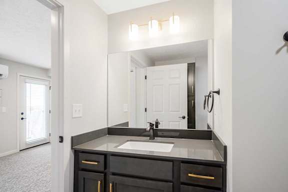 a bathroom with a vanity sink and a mirror