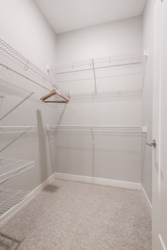 Walk in closet with 2 levels of wire racks