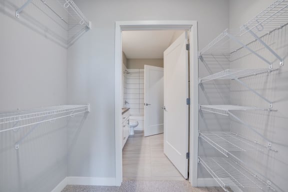Ample storage in the walk-in closets in both bedrooms of the 2 bedroom Harriet floor plan