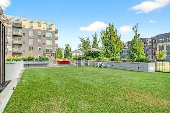A large, open grassy area in a zen garden apartment courtyard.