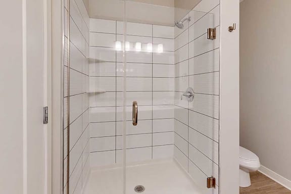A bathroom with a tiled walk-in shower with a glass door.