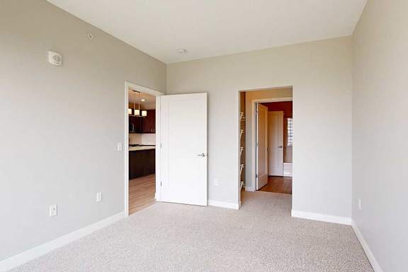 A carpeted bedroom with an attached walk-through closet connected to a bathroom.
