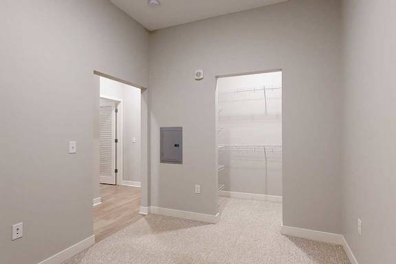 A carpeted sleeping area with an open walk-in closet.