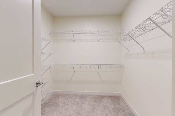 A white closet with a door open and shelves on the wall.