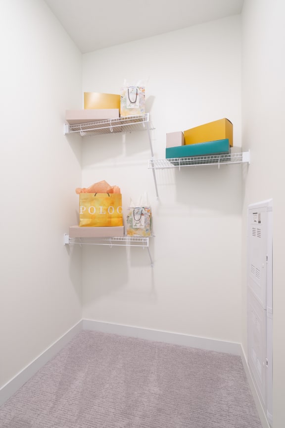 Walk in closet with ample shelving and hanging space